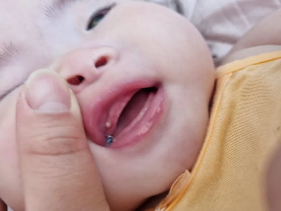 이거 진주종인가요ㅠㅠ