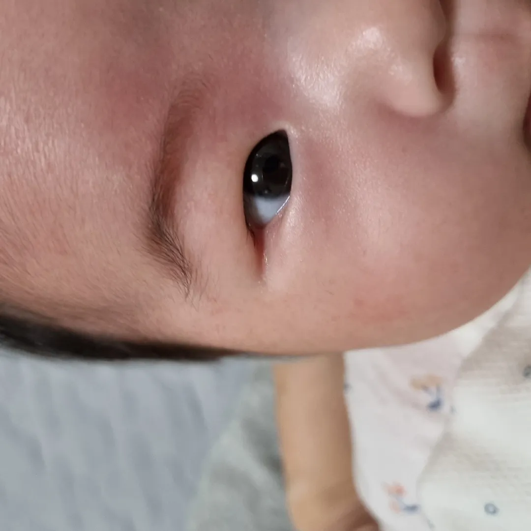 이것좀 봐주세요ㅠㅠ