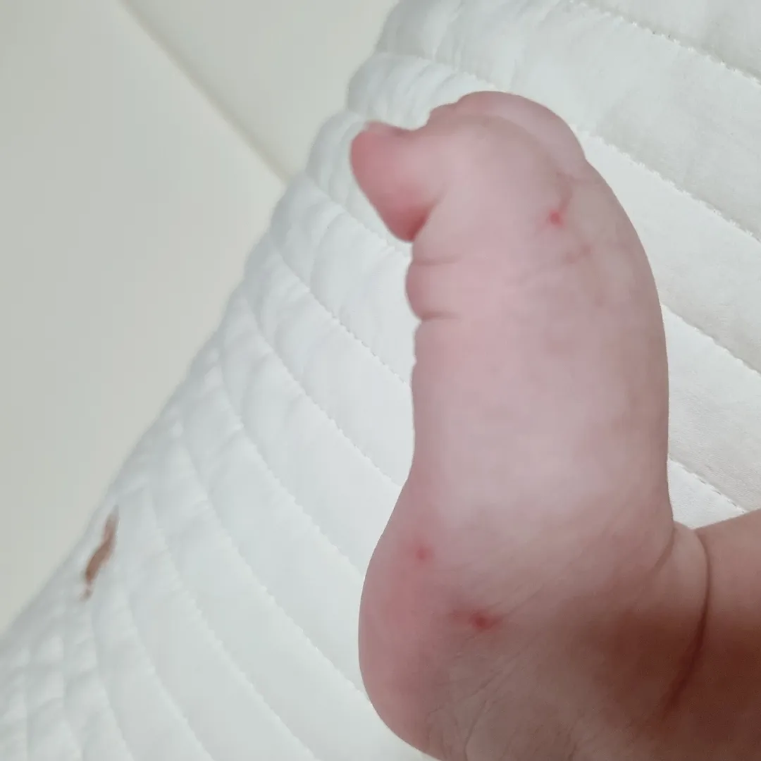 모기쉐끼.....