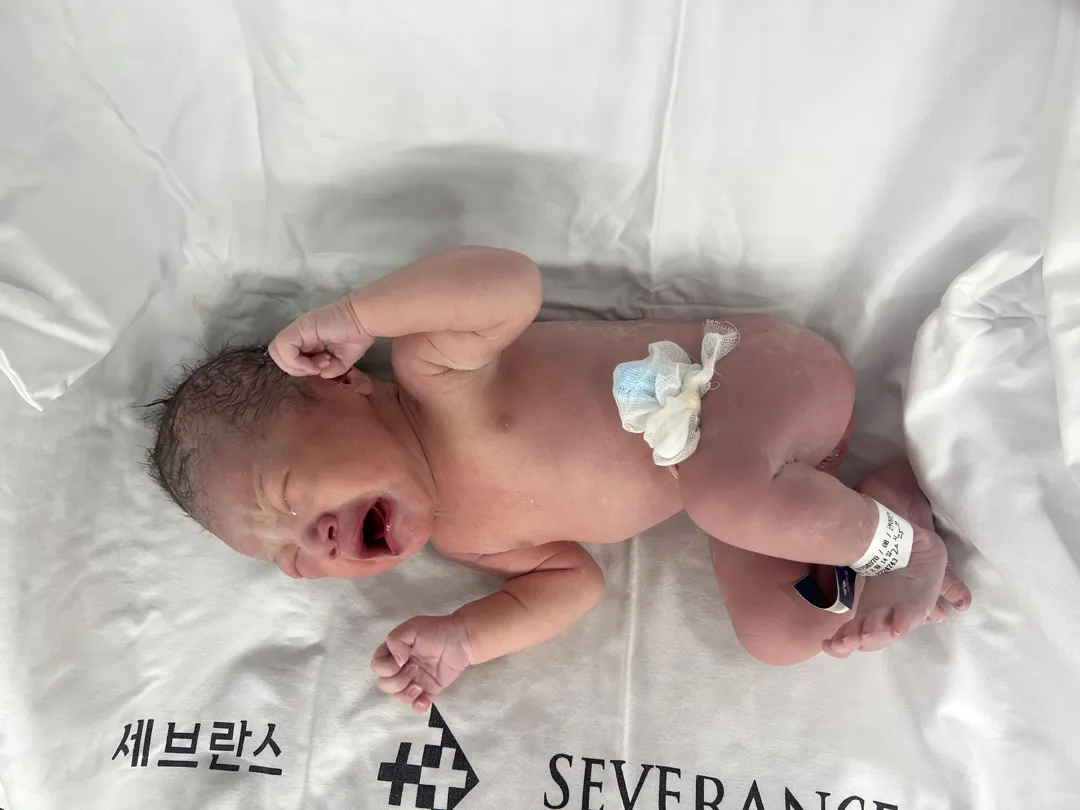 2.14 발렌타인베이비