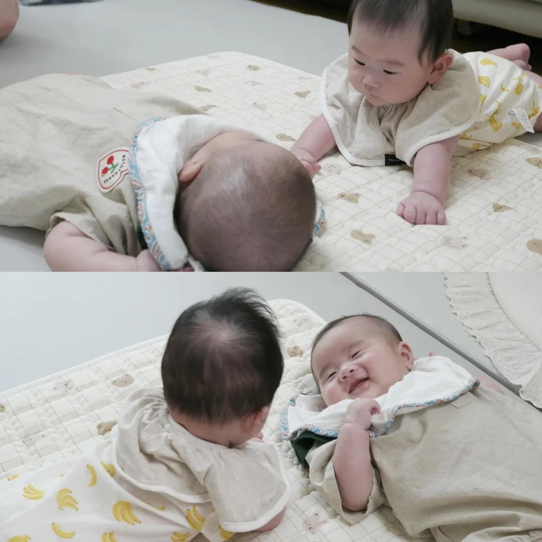 코코네 집 놀러온 쨈콩이