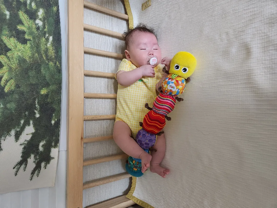 혹시 애착인형 추천해주실 분..?