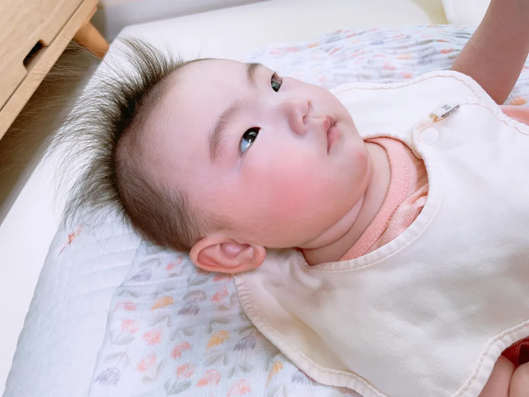 쥐포..? 돈까스..?