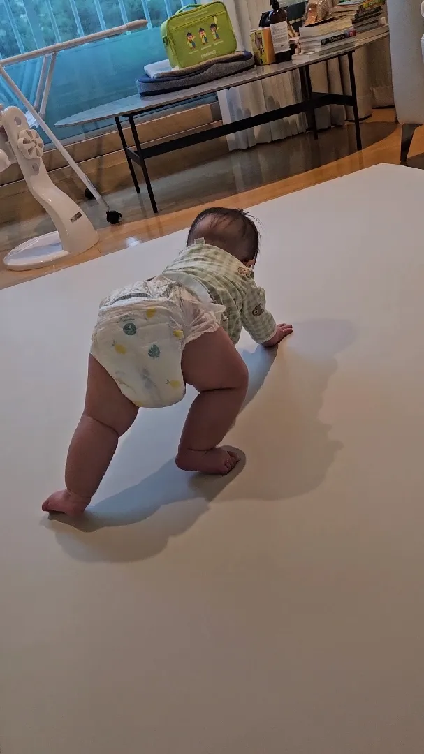 이건 앉으려고 그러는걸까요?!