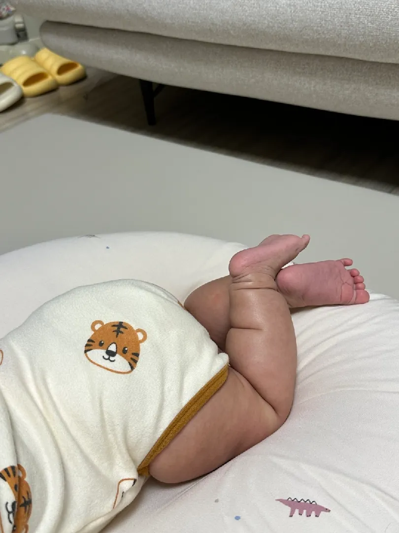 4갤 공주 깜짝놀람