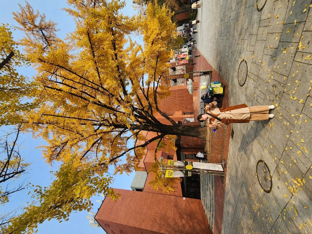 community post image