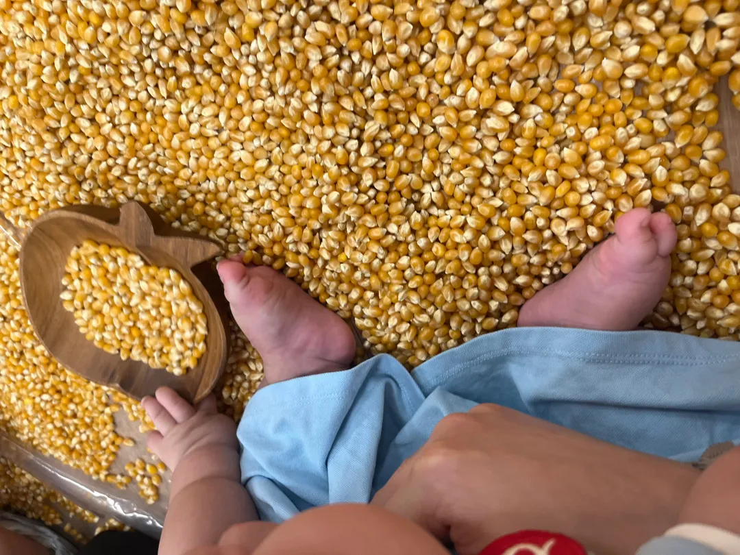 초기 이유식 응가 💩 (사진은 옥수수콘놀이🌽)