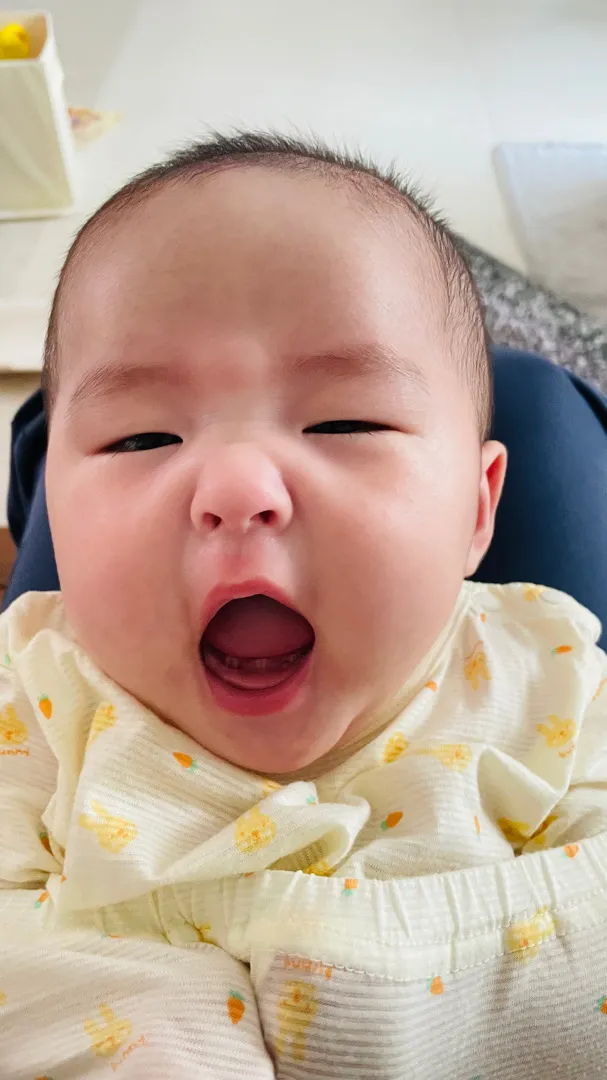 주먹고기2탄