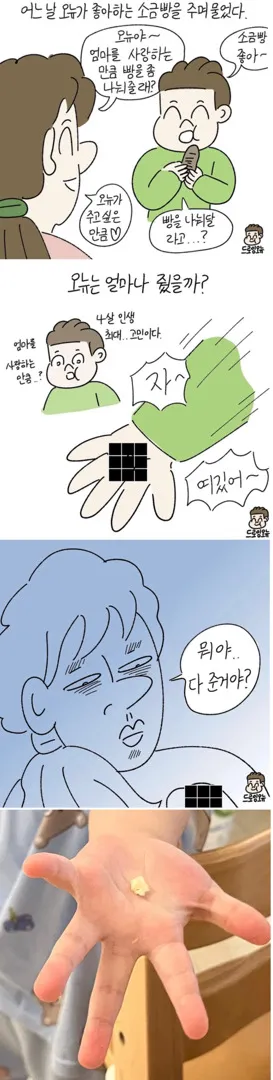 아들맘 모여보세요