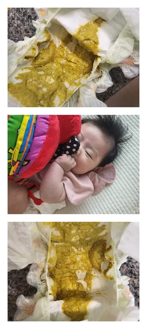 (💩응가사진 주의💩) 설사인지 아닌지 봐주셔요👀