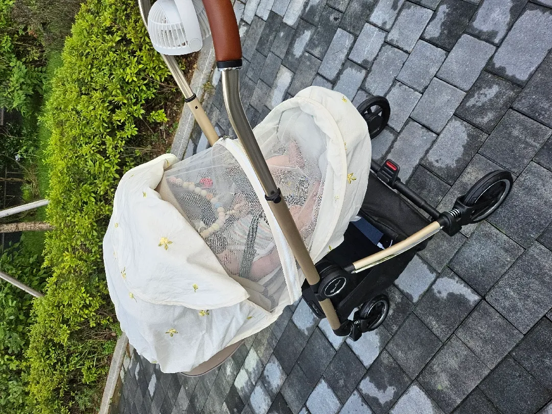오늘 산책완료! 맘님들 태풍피해 없으신가요?🥺