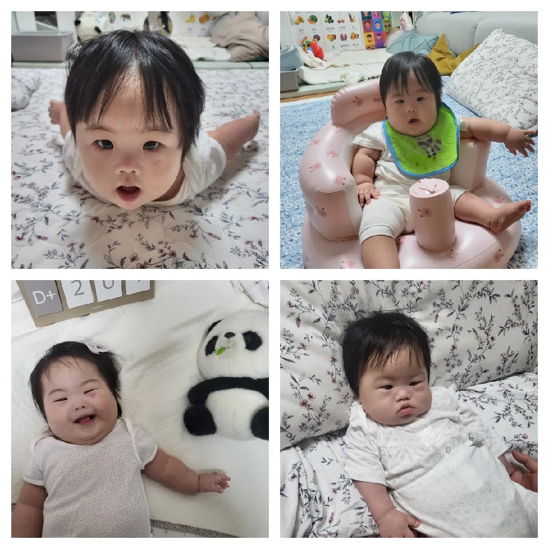출산후 베동에 오지못한 이유ㅎ