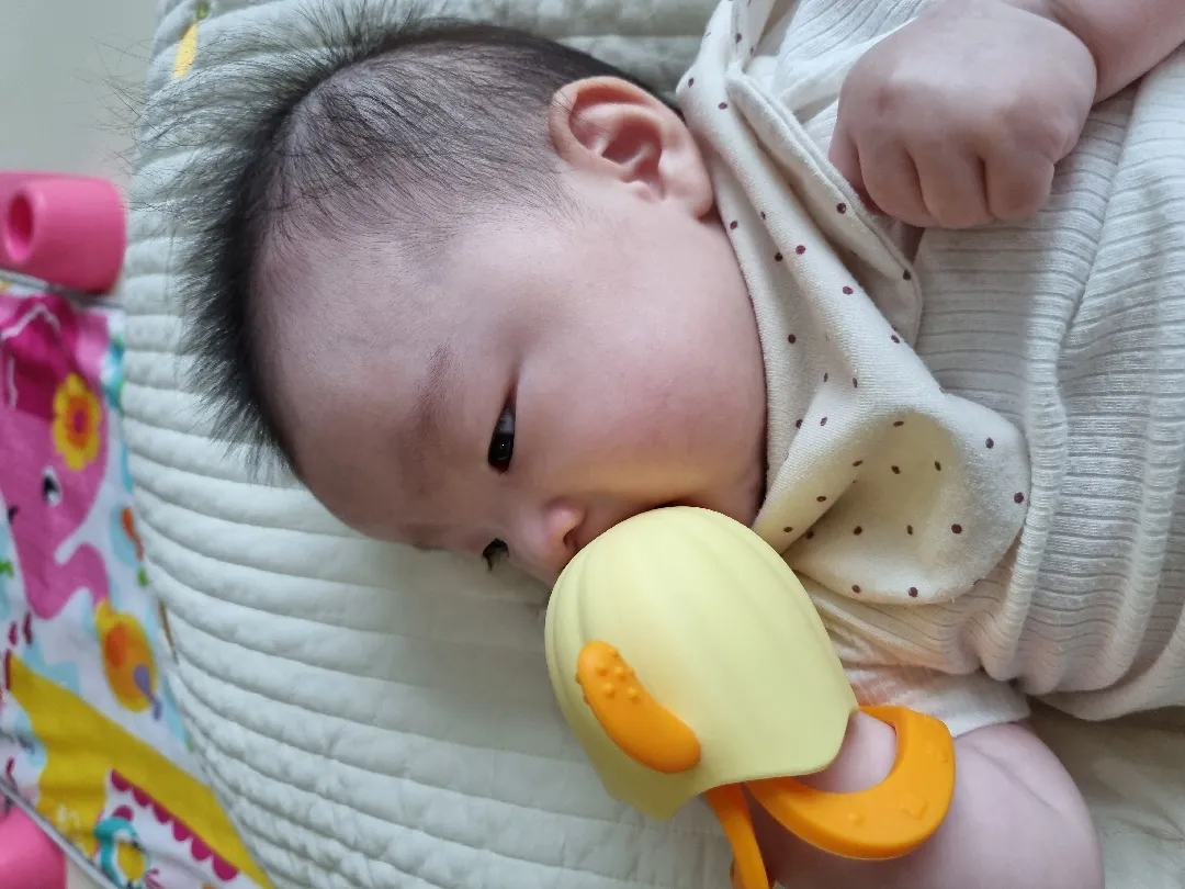라비베베 선인장 치발기!!! 🌵 