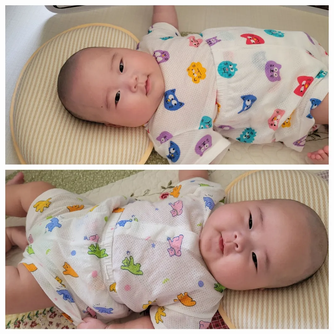저희 딸둥이들 배넷머리 밀었습니다~