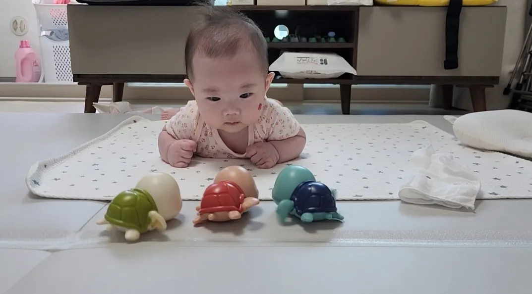 아.. 요놈의 거북이..🤣