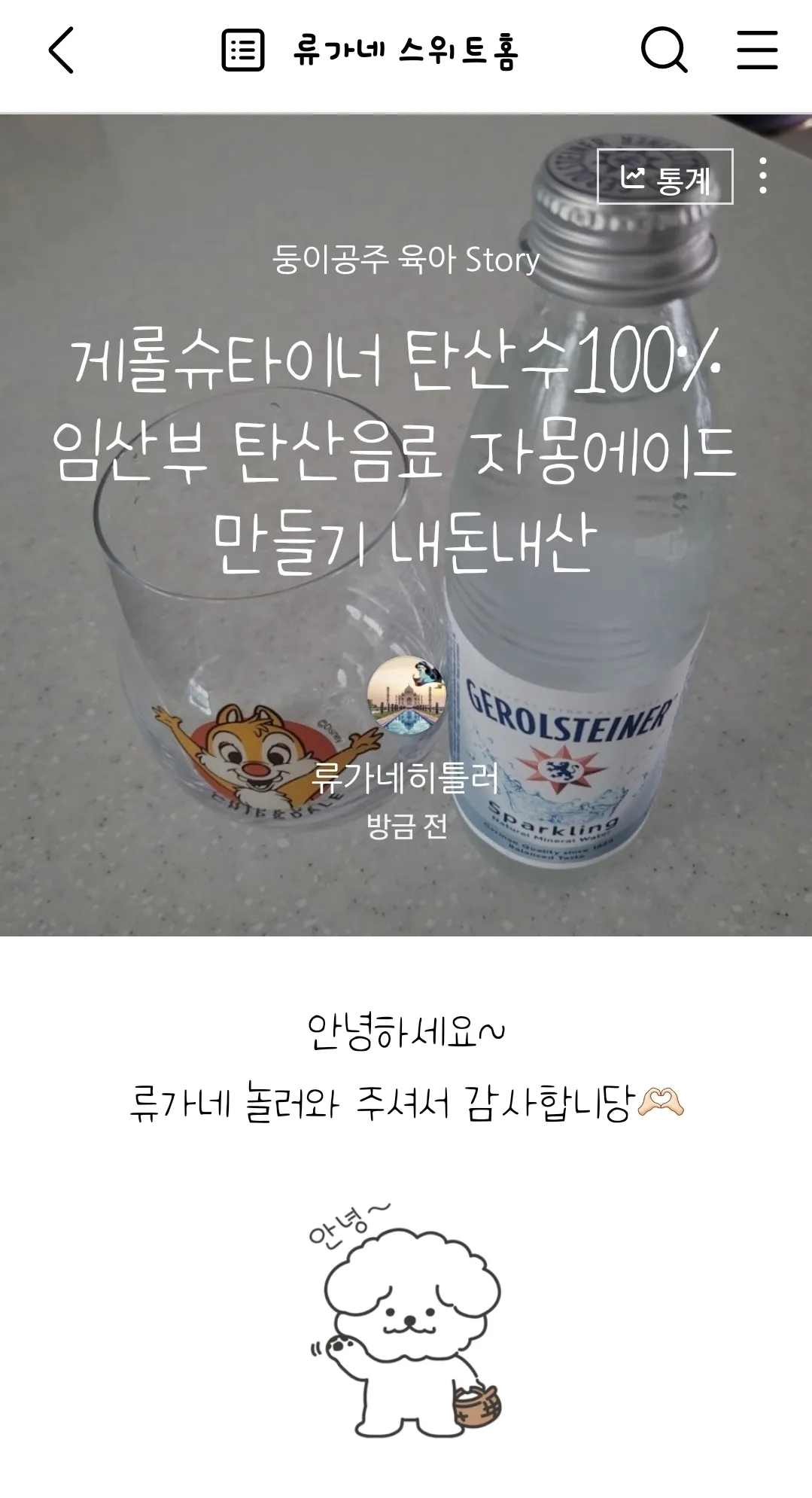 입덧해방 임산부 탄산수100% 과일에이드 만들기