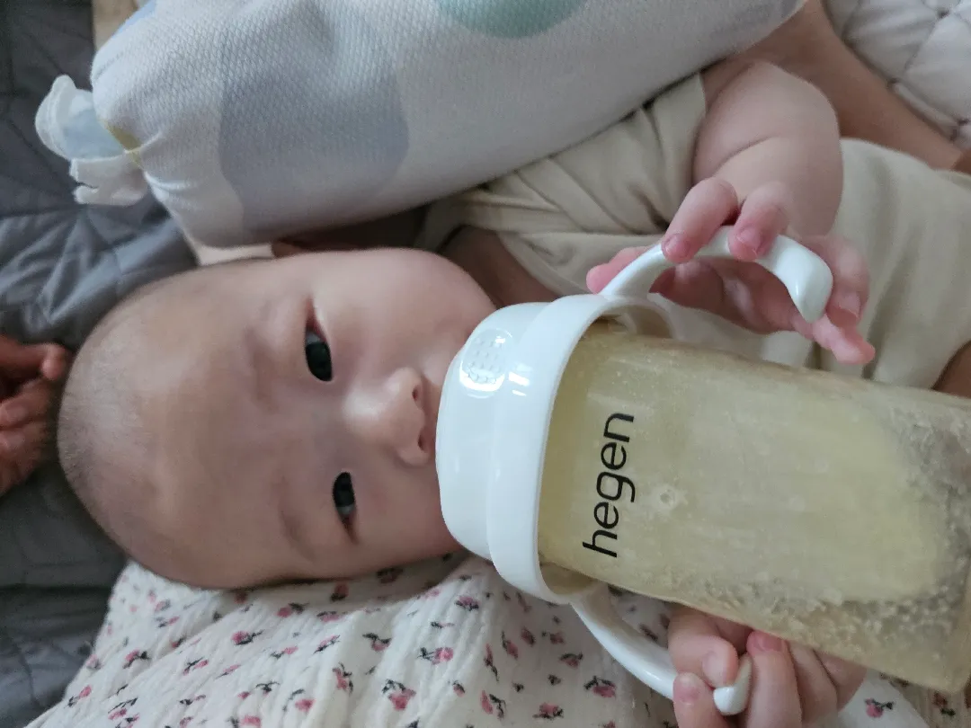 요즘 모기없다 생각했는데