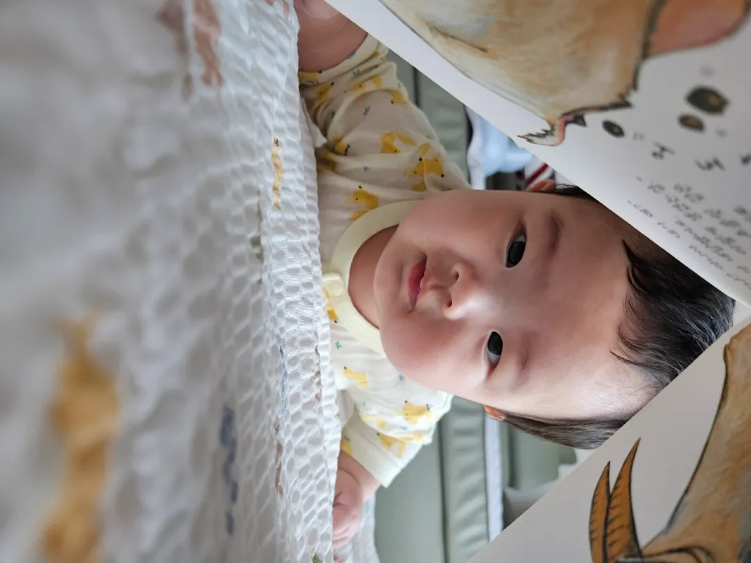 뒤집기 지옥🤣
