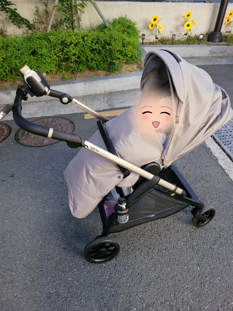 잉글레시나 일렉타