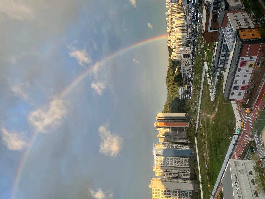 무지개보고 가세요 🌈