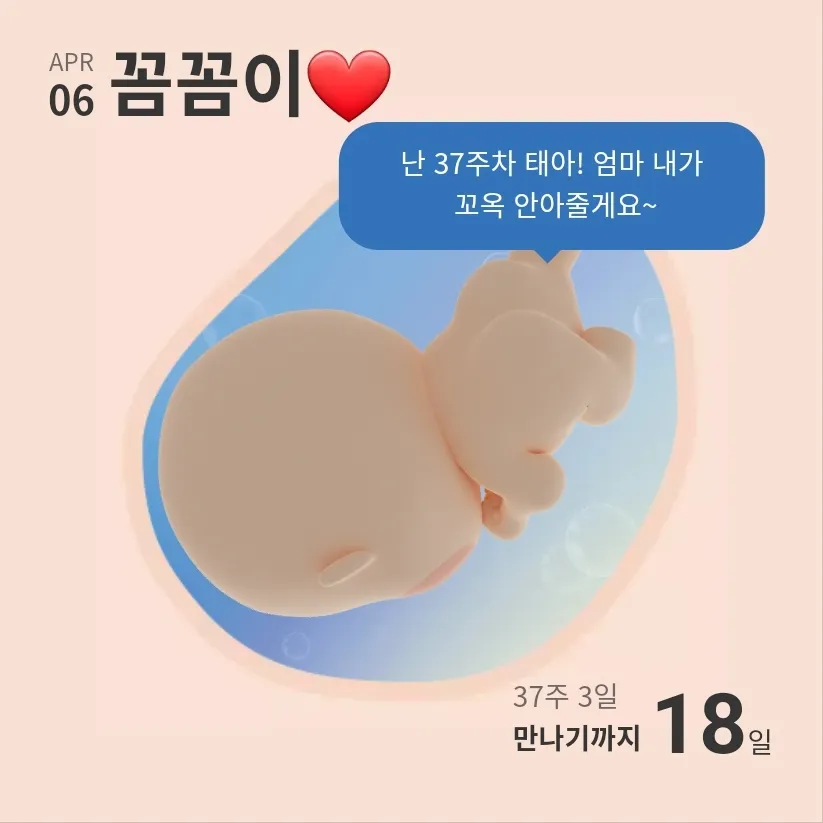 4월 예비 토끼띠맘 단톡 알려주세요,,🩷