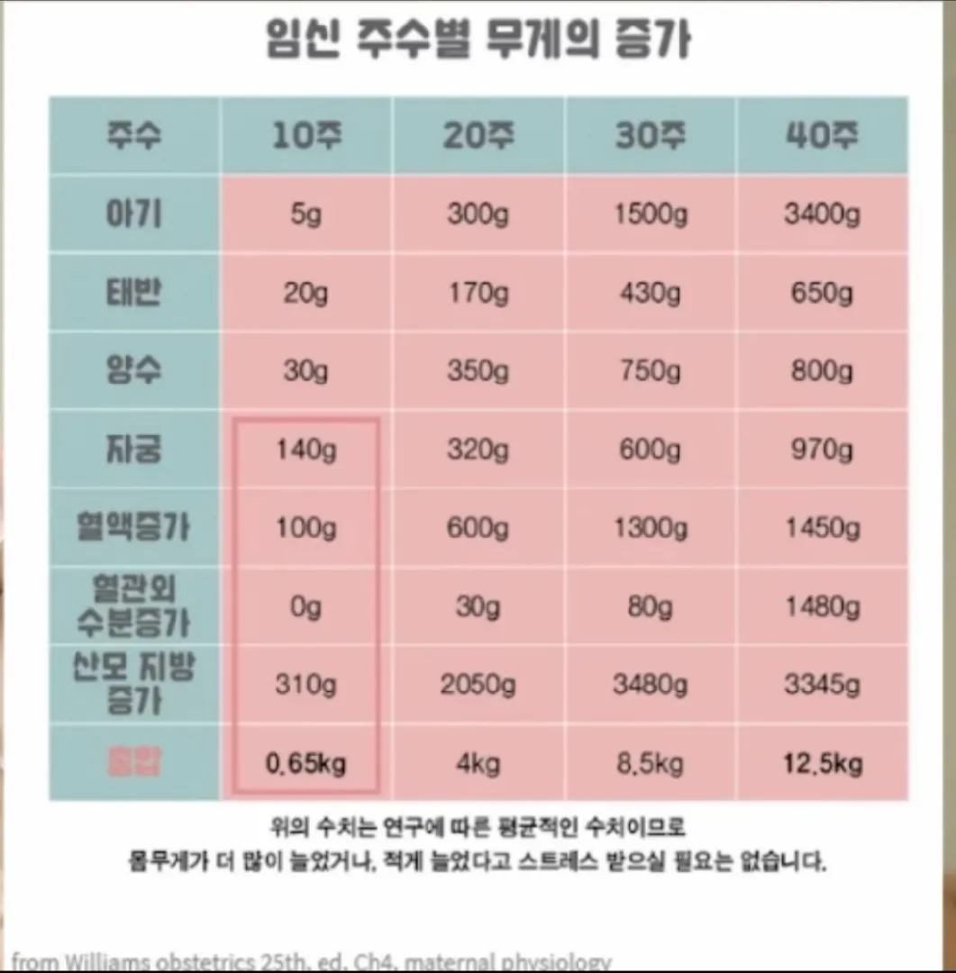 임신중 몸무게😀