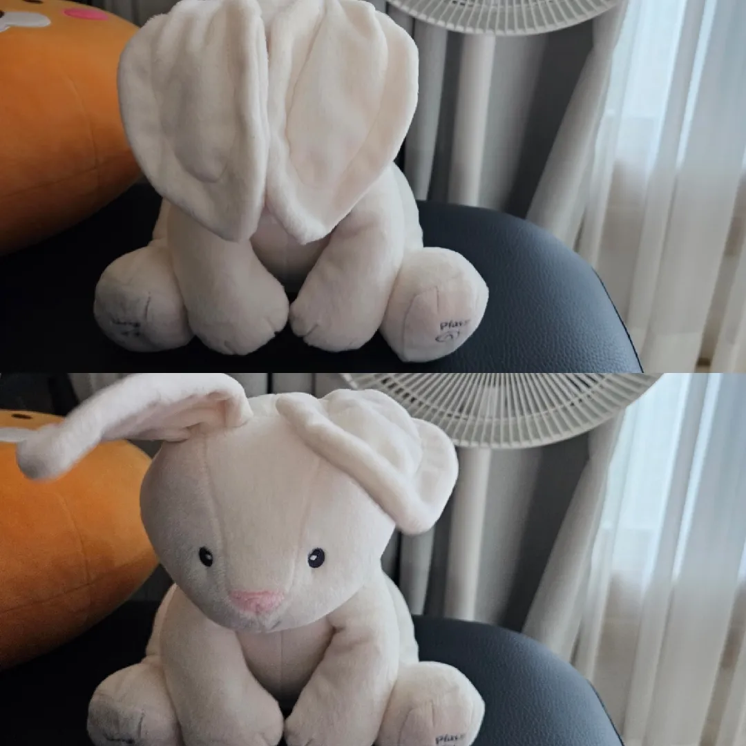 까꿍 토끼도 들였어요~