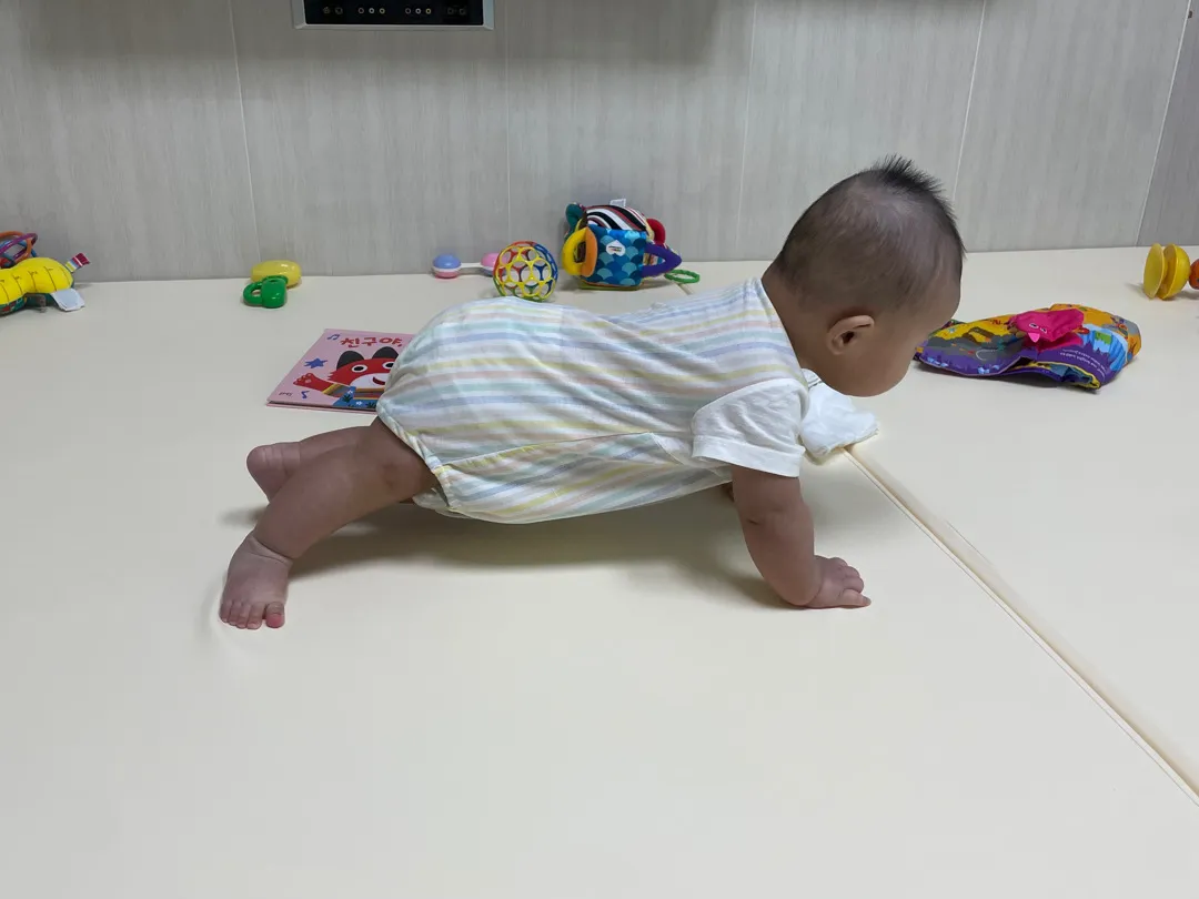 엎드려뻗쳐하는 아기있나요