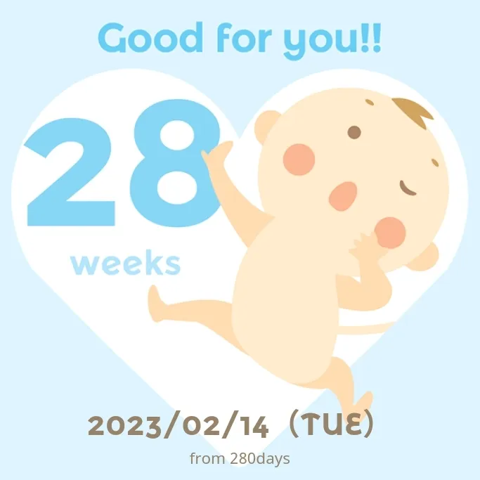 28주!!5월 예정