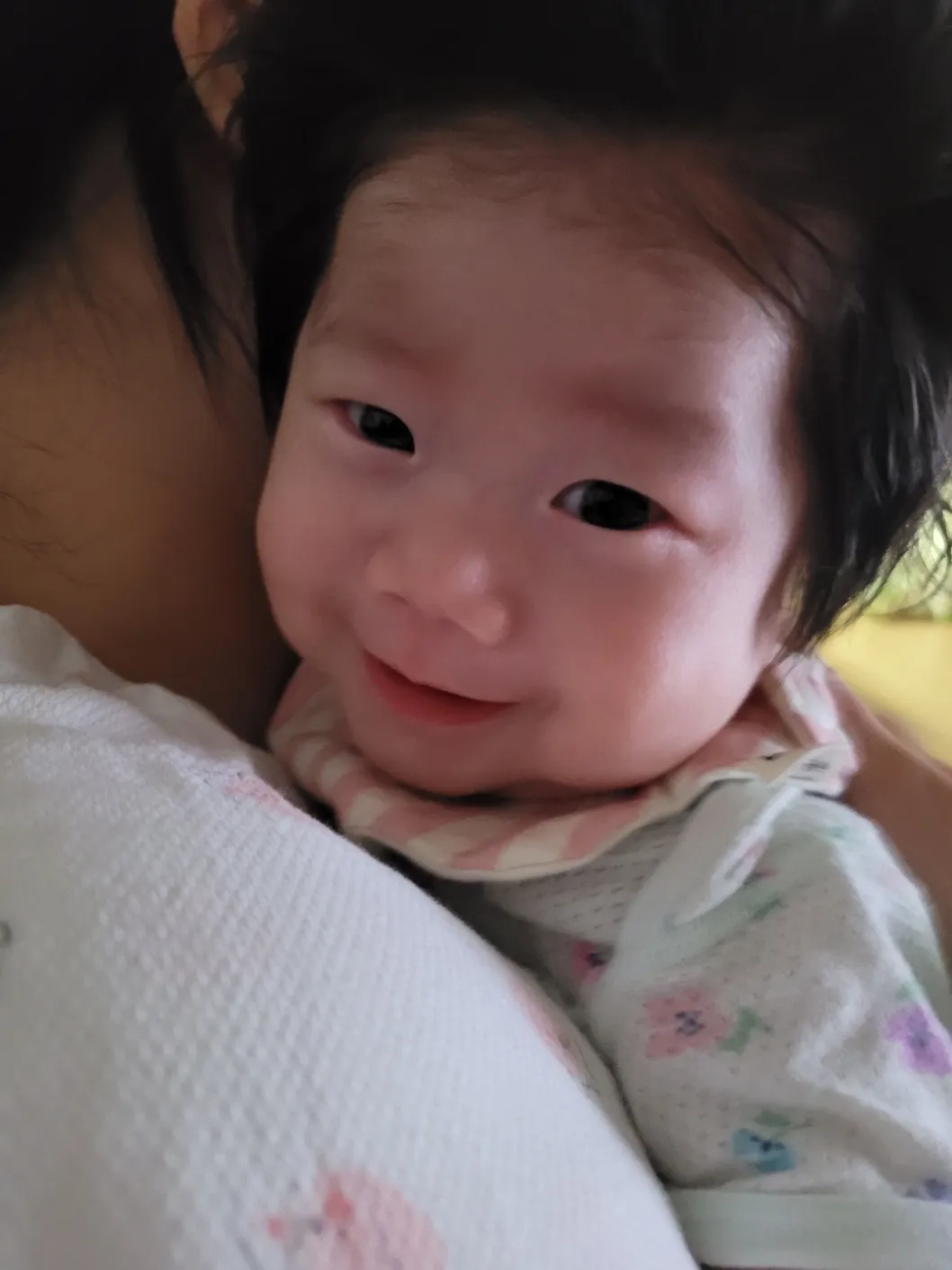 분유 190에 4시간텀