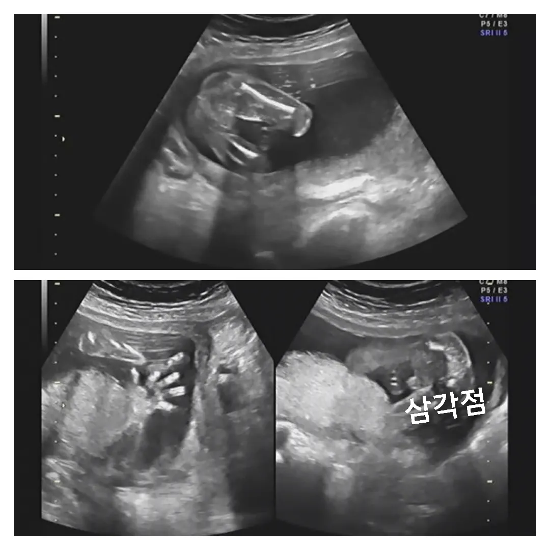 삼각점 맞는거겠죠?ㅎㅎ