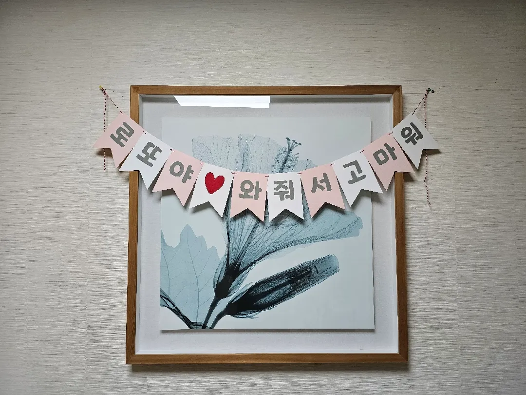 드뎌 공주님 만났습니다