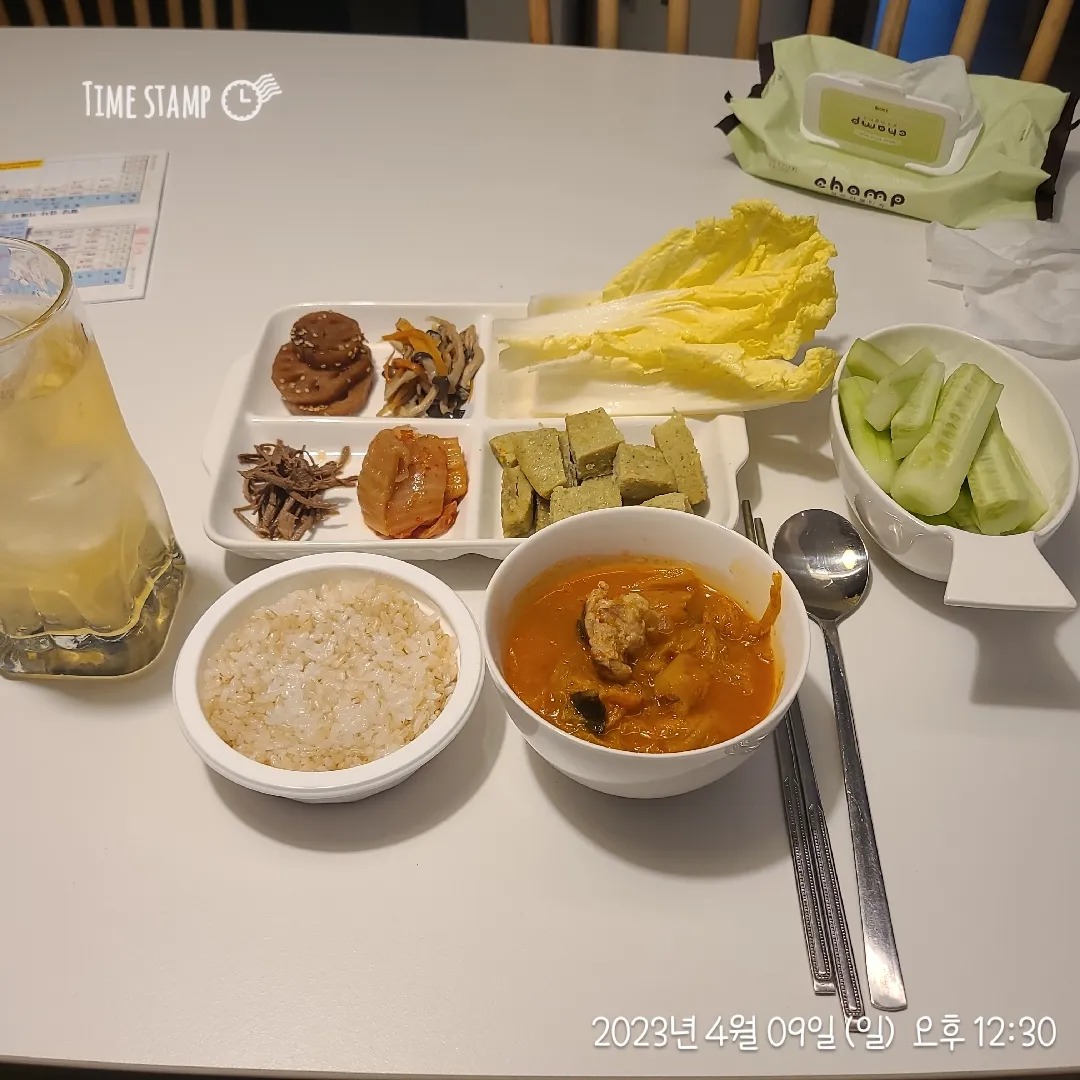 인슐린 노답...