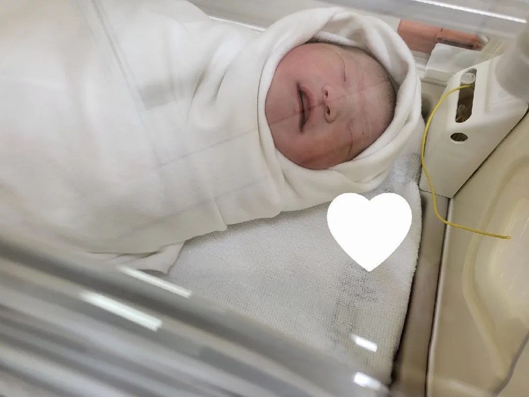 오전에 빨간 이슬 비췄다던 사람입니당..!