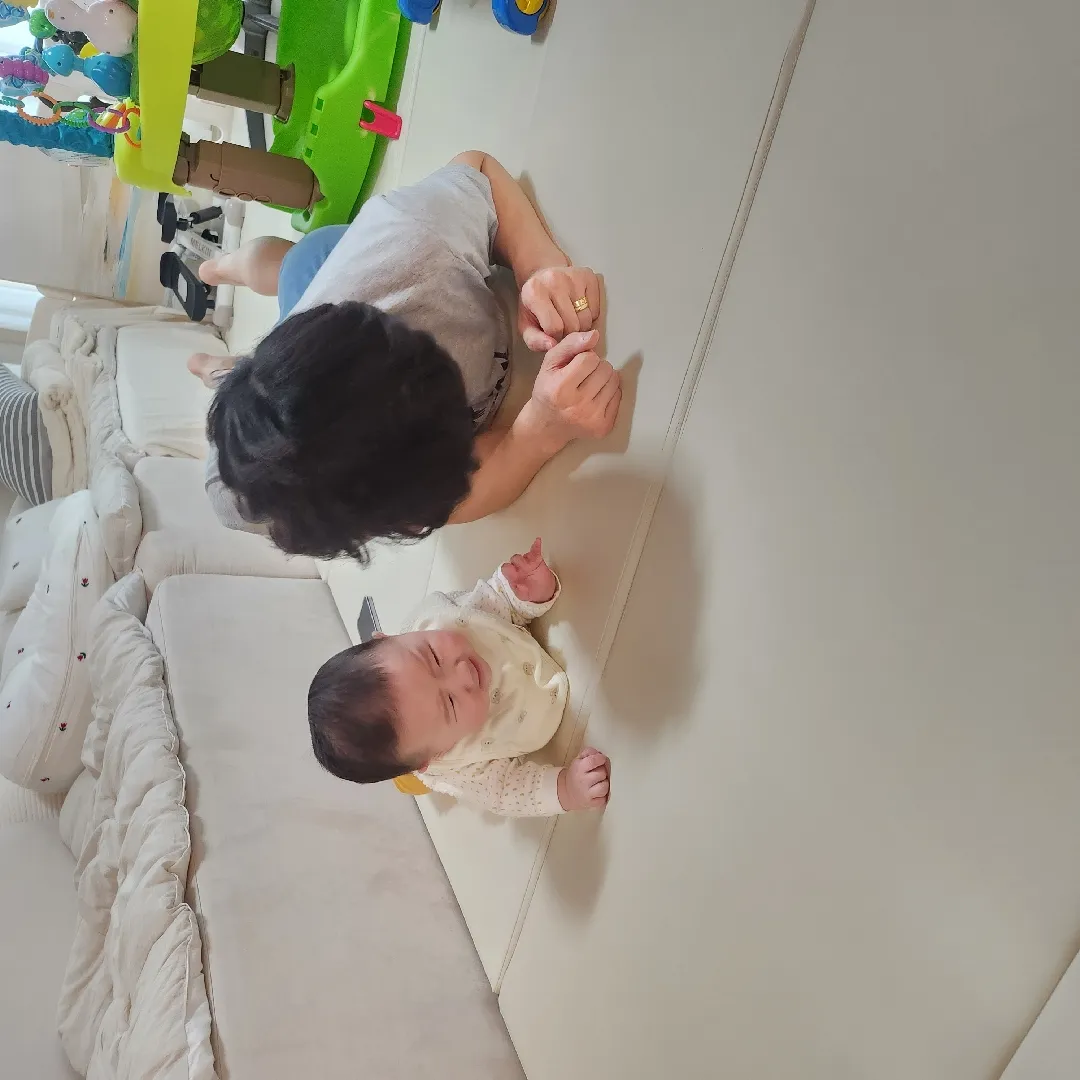 배밀이