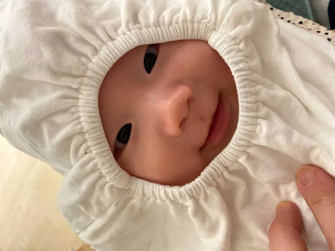 쉐리빕 새로운 기능 발견