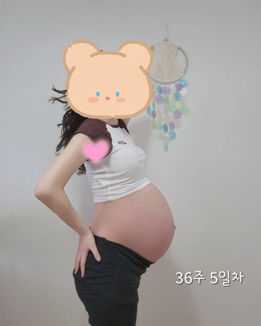배좀 내려가고있는거 같나요??