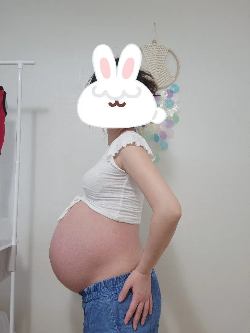 배가 아직 안내려온건가요..?