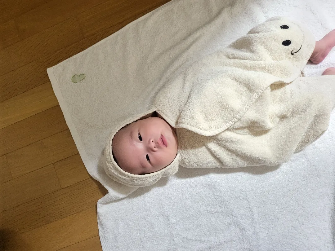 강릉 1박 여행 도전! 장거리 꿀팁 참견부탁드려용!