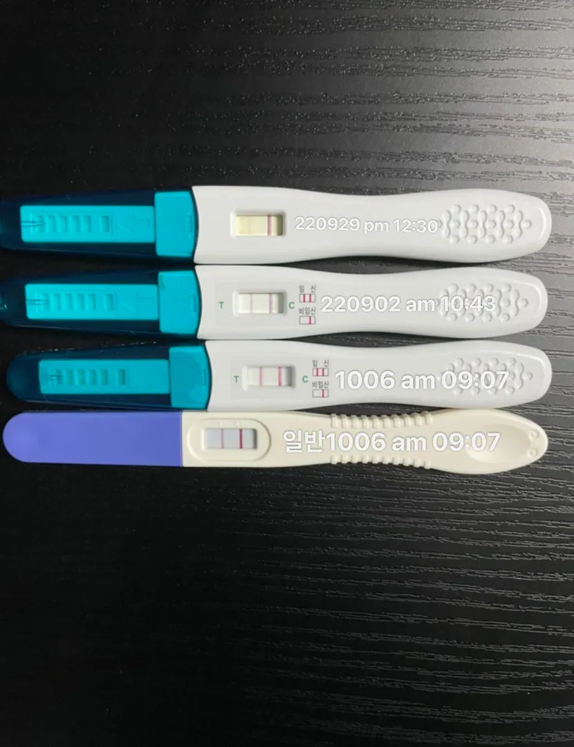 임테기 두줄 한번 봐주세요🥺