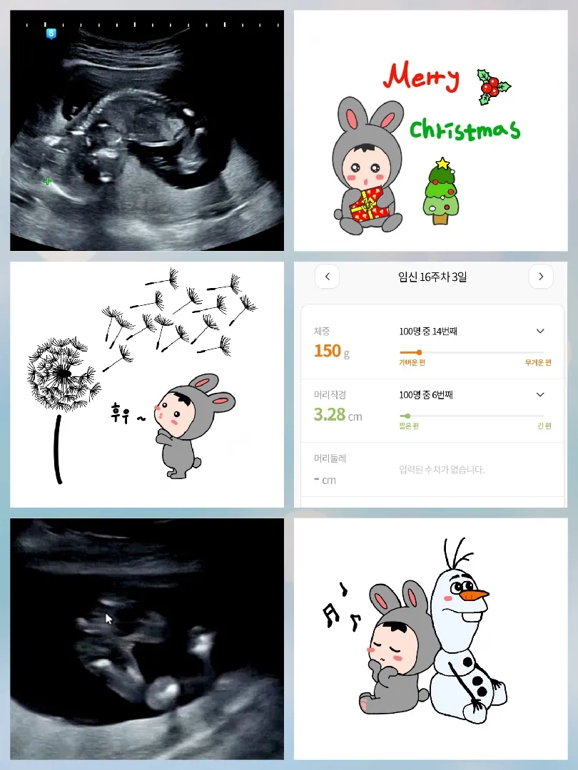 16주차 엄마를 닮았다고 하네요^^