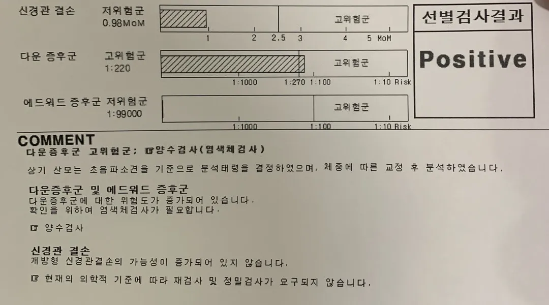 기형아 검사결과 다운증후군 고위험군ㅠㅠ 긴글주의