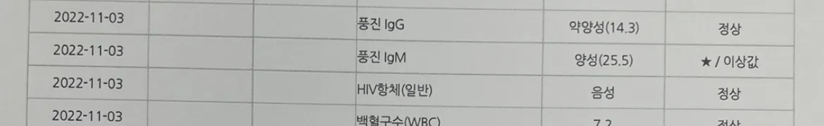 풍진 lgm 25.5 / lgg 약양성 ㅜㅜ