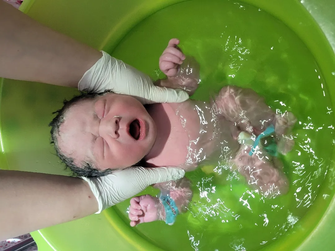 쑥쑥이 태어났어요 😆