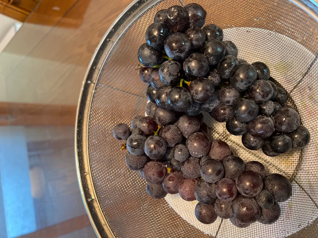 포도먹고 싶어서 포도 시켰어요🍇