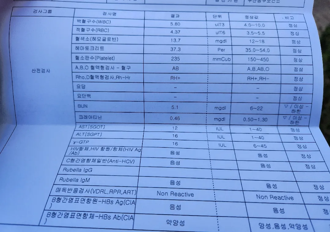 임신 13주 4일 갑상선수치문제