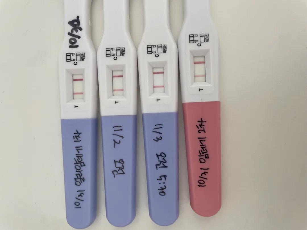 4주 4일차 아기집 못 봤어요😭