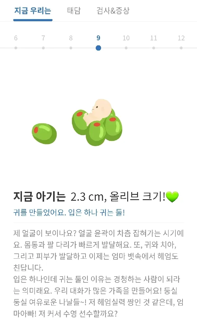 9주차때 우리 아가들 크기가 어느정도였나요🤗