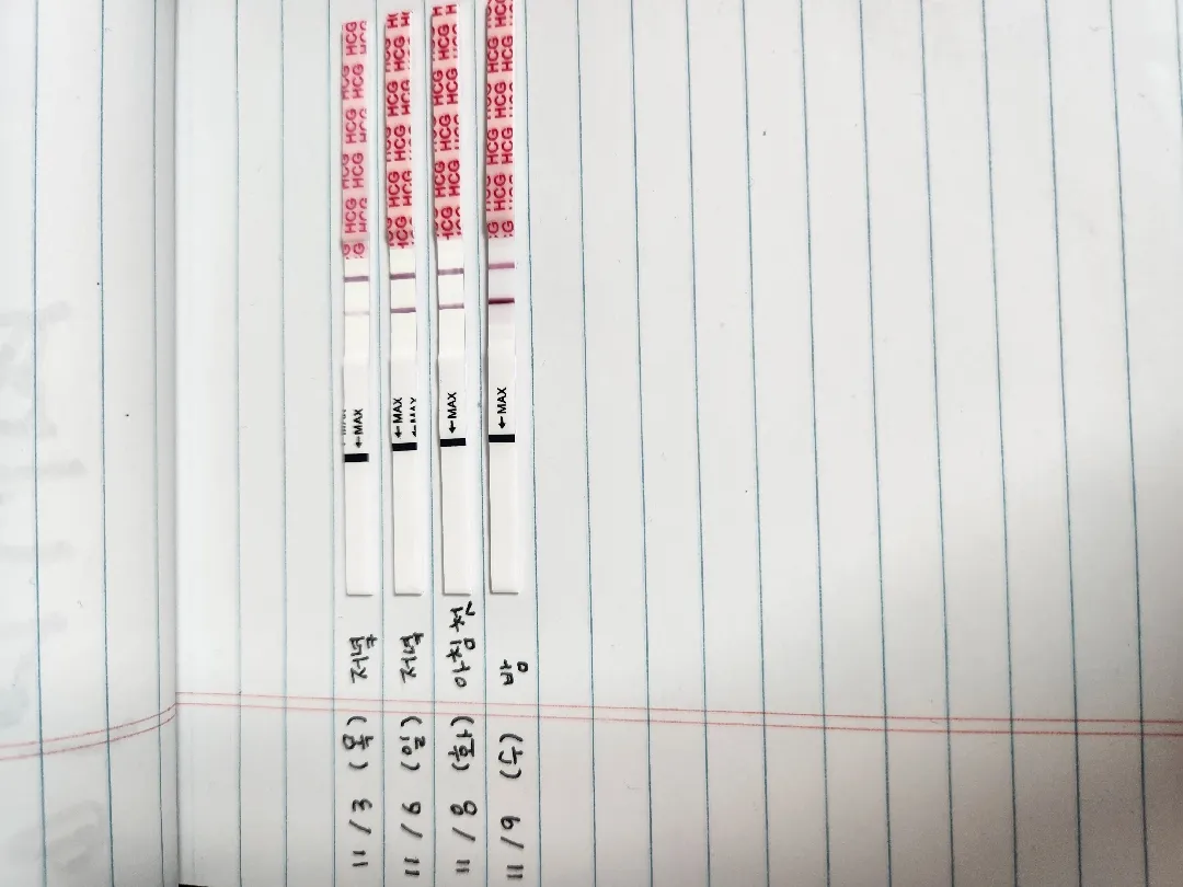 혹시 임테기로 아가집보일지 예상할수있을까요!?