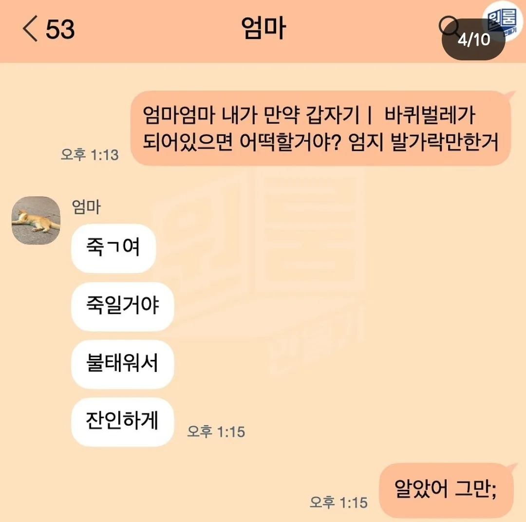 바퀴벌레 챌린지 해보셨어요? ㅋㅋ (혐 아님)